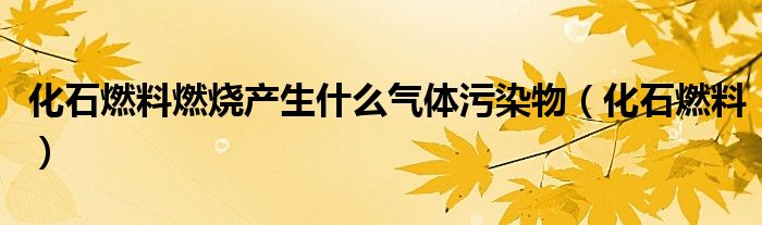 化石燃料燃燒產(chǎn)生什么氣體污染物（化石燃料）