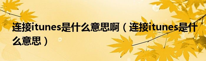 連接itunes是什么意思?。ㄟB接itunes是什么意思）