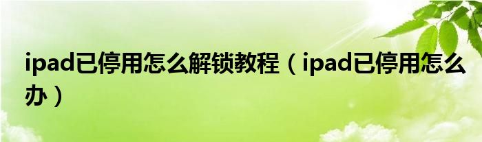 ipad已停用怎么解鎖教程（ipad已停用怎么辦）