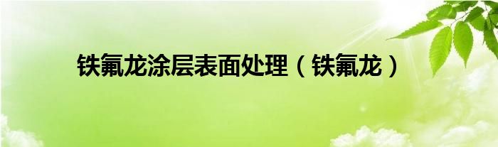 鐵氟龍涂層表面處理（鐵氟龍）