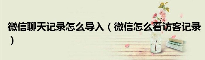 微信聊天記錄怎么導入（微信怎么看訪客記錄）