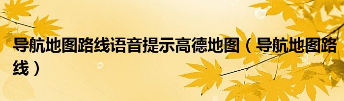 導(dǎo)航地圖路線語音提示高德地圖（導(dǎo)航地圖路線）