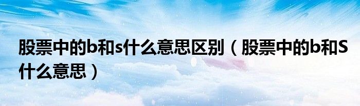 股票中的b和s什么意思區(qū)別（股票中的b和S什么意思）