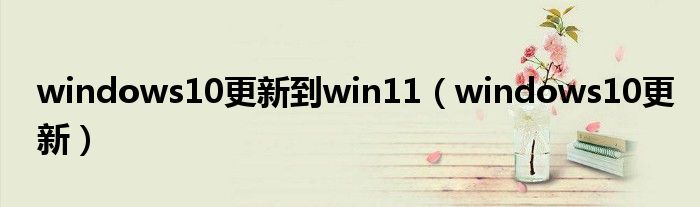 windows10更新到win11（windows10更新）