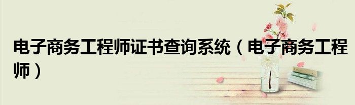 電子商務(wù)工程師證書查詢系統(tǒng)（電子商務(wù)工程師）