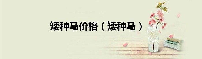 矮種馬價(jià)格（矮種馬）