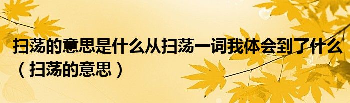 掃蕩的意思是什么從掃蕩一詞我體會(huì)到了什么（掃蕩的意思）
