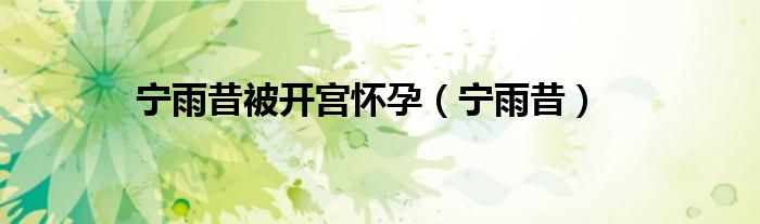 寧雨昔被開宮懷孕（寧雨昔）