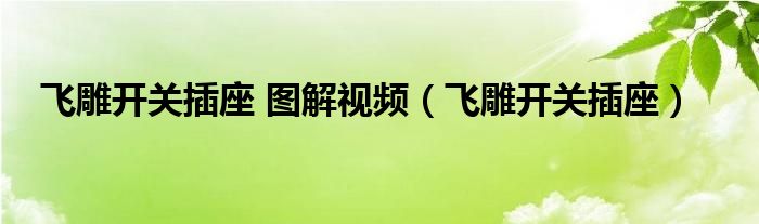 飛雕開關(guān)插座 圖解視頻（飛雕開關(guān)插座）