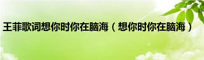 王菲歌詞想你時(shí)你在腦海（想你時(shí)你在腦海）
