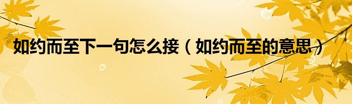 如約而至下一句怎么接（如約而至的意思）
