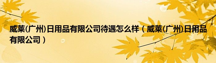 威萊(廣州)日用品有限公司待遇怎么樣（威萊(廣州)日用品有限公司）