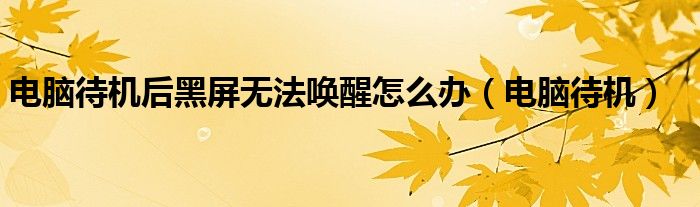 電腦待機(jī)后黑屏無(wú)法喚醒怎么辦（電腦待機(jī)）