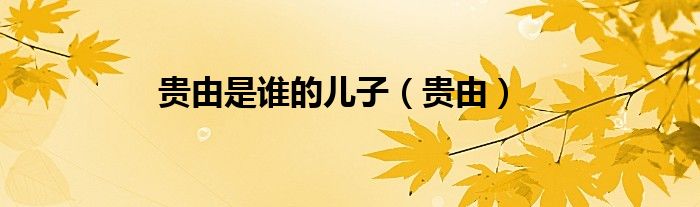 貴由是誰的兒子（貴由）
