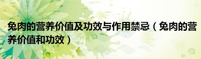 兔肉的營養(yǎng)價值及功效與作用禁忌（兔肉的營養(yǎng)價值和功效）