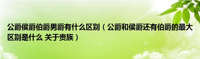 公爵侯爵伯爵男爵有什么區(qū)別（公爵和侯爵還有伯爵的最大區(qū)別是什么 關(guān)于貴族）
