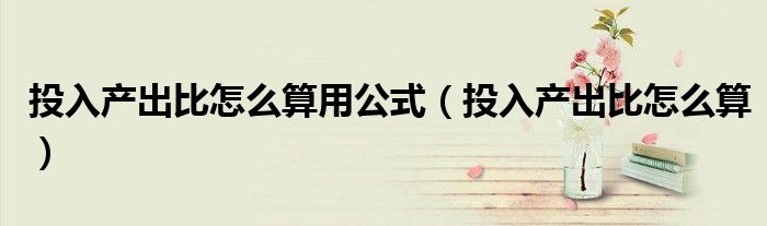 投入產(chǎn)出比怎么算用公式（投入產(chǎn)出比怎么算）