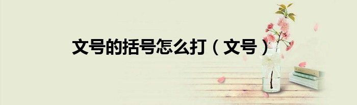 文號(hào)的括號(hào)怎么打（文號(hào)）