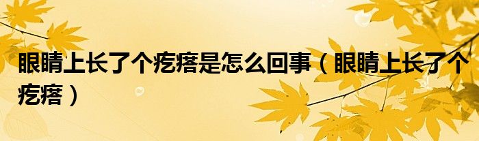 眼睛上長(zhǎng)了個(gè)疙瘩是怎么回事（眼睛上長(zhǎng)了個(gè)疙瘩）