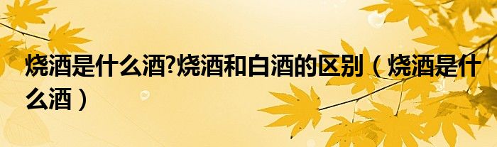 燒酒是什么酒?燒酒和白酒的區(qū)別（燒酒是什么酒）
