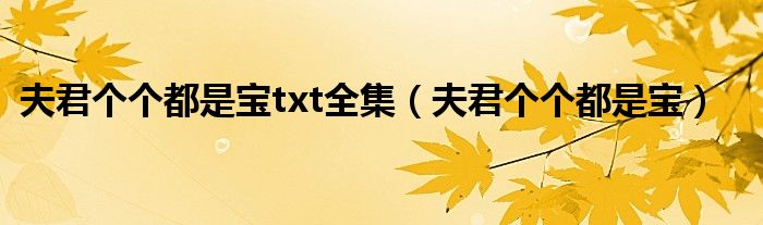夫君個(gè)個(gè)都是寶txt全集（夫君個(gè)個(gè)都是寶）