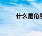 什么是角質(zhì)層皮膚（什么是角質(zhì)）