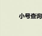 小號查詢大號電話（小號查詢）
