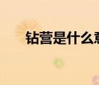 鉆營是什么意思?（鉆營 是什么意思）