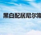 黑白配居尼爾斯小說txt（黑白配居尼爾斯）