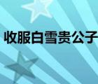 收服白雪貴公子在線觀看（收服白雪貴公子）
