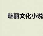 魅麗文化小說封面畫師（魅麗文化小說）