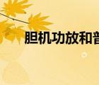 膽機功放和普通功放區(qū)別（膽機功放）