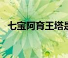 七寶阿育王塔是幾級文物（七寶阿育王塔）