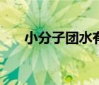 小分子團(tuán)水有科學(xué)依據(jù)（小分子團(tuán)水）