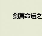 劍舞命運(yùn)之夜小說（劍舞命運(yùn)之夜）