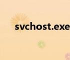 svchost.exe進程很多（svchost exe）