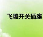 飛雕開關(guān)插座 圖解視頻（飛雕開關(guān)插座）