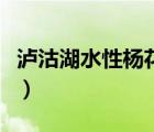 瀘沽湖水性楊花什么意思（水性楊花什么意思）