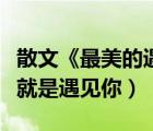 散文《最美的遇見》（我的一生最美好的場(chǎng)景就是遇見你）