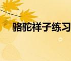 駱駝祥子練習題大全（駱駝祥子練習題）