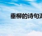 垂柳的詩(shī)句湖邊多垂柳（垂柳的詩(shī)句）