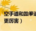 空手道和跆拳道哪個(gè)強(qiáng)（空手道和跆拳道哪個(gè)更厲害）