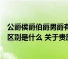 公爵侯爵伯爵男爵有什么區(qū)別（公爵和侯爵還有伯爵的最大區(qū)別是什么 關(guān)于貴族）