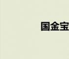 國金寶回款入口（國金寶）