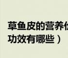 草魚(yú)皮的營(yíng)養(yǎng)價(jià)值和功效（草魚(yú)的營(yíng)養(yǎng)價(jià)值與功效有哪些）