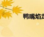 鴨嘴焰龍進(jìn)化圖（鴨嘴焰龍）