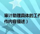 審計(jì)助理具體的工作內(nèi)容描述正確的是（審計(jì)助理具體的工作內(nèi)容描述）
