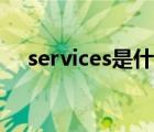 services是什么文件夾（services exe）