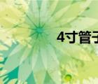 4寸管子直徑是多少（4寸）