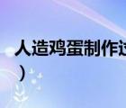 人造雞蛋制作過程（人造雞蛋和真雞蛋的區(qū)別）